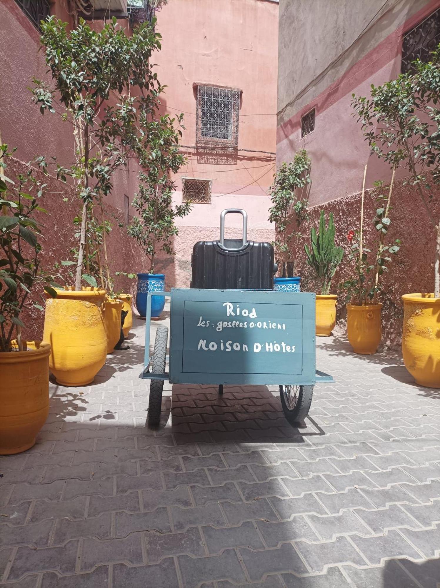 Riad Les Gazelles D'Orient Marrakech Marrakesz Zewnętrze zdjęcie